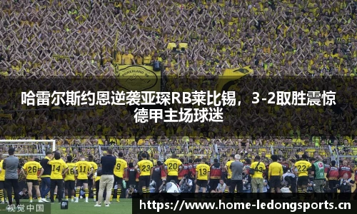 ld乐动体育官网