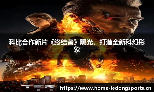 ld乐动体育平台
