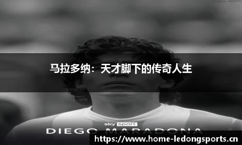 ld乐动体育