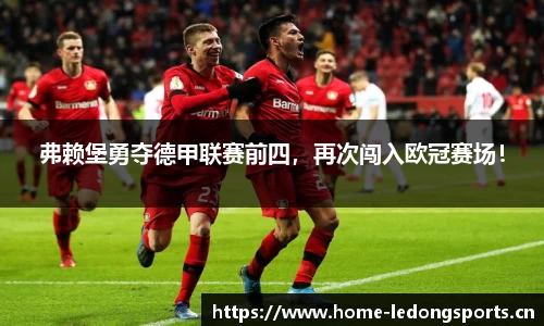 ld乐动体育平台