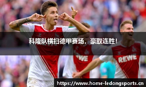 ld乐动体育