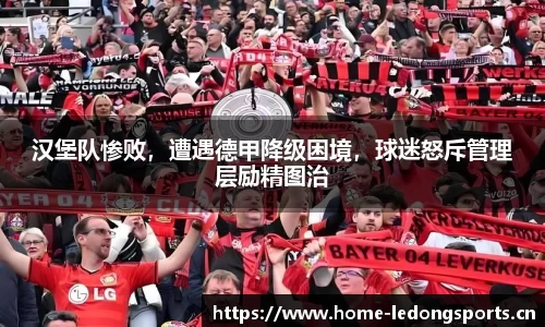 ld乐动体育