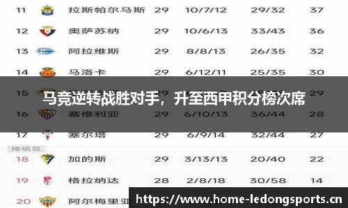 ld乐动体育