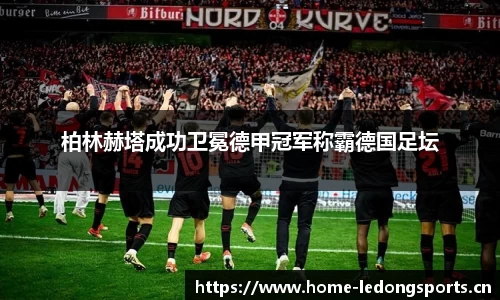 ld乐动体育