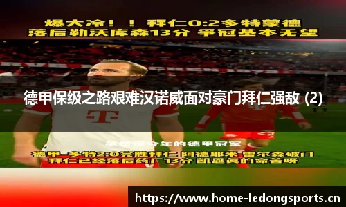 ld乐动体育