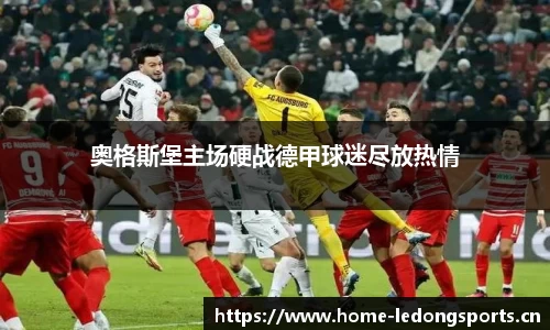 ld乐动体育