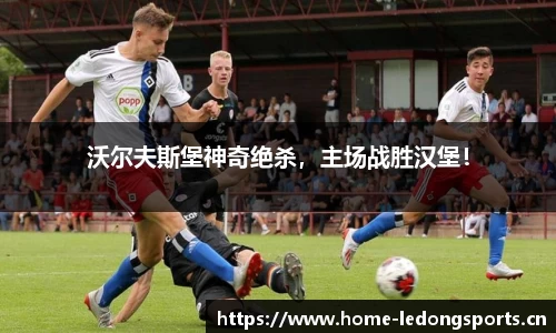 ld乐动体育