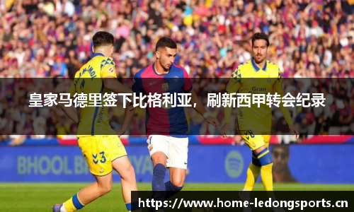 ld乐动体育