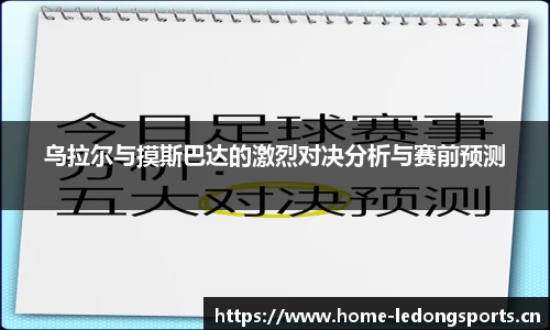 ld乐动体育
