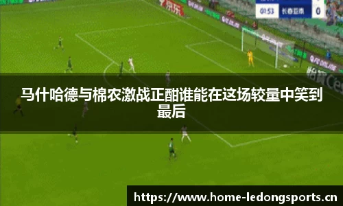 ld乐动体育官方网站