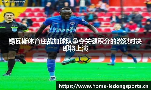 ld乐动体育