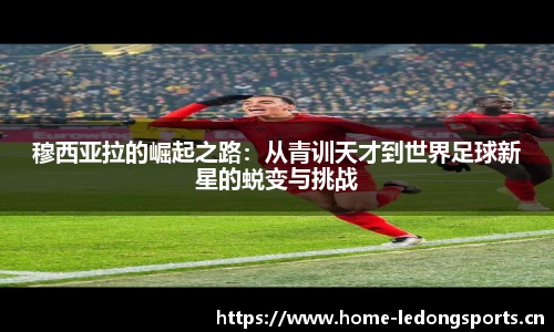 ld乐动体育平台