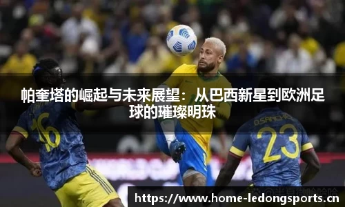 ld乐动体育官方网站